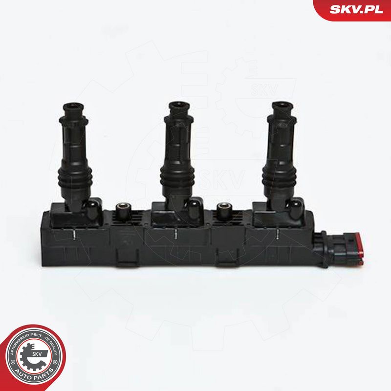 ESEN SKV 03SKV125 Ignition Coil