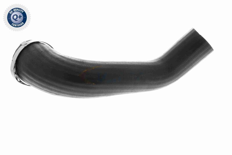 VAICO V25-1161 Charge Air Hose