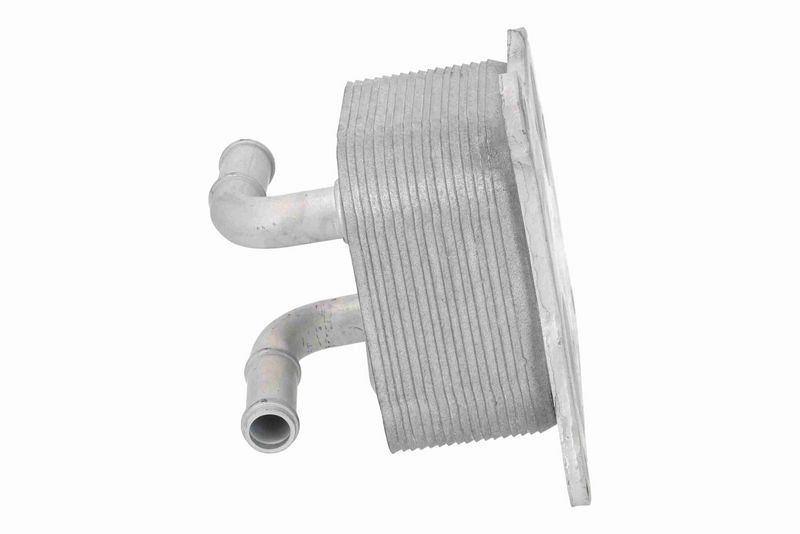 ACKOJA A38-60-0029 Oil Cooler, engine oil