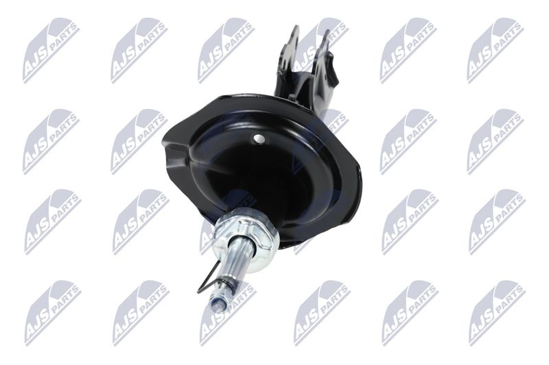 Amort, NTY A-MS-016
