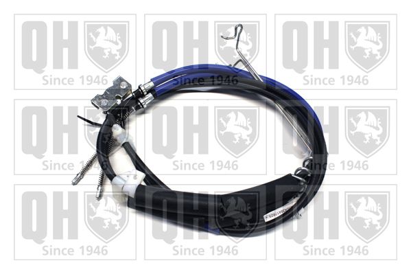 QH_BC4335.JPG
