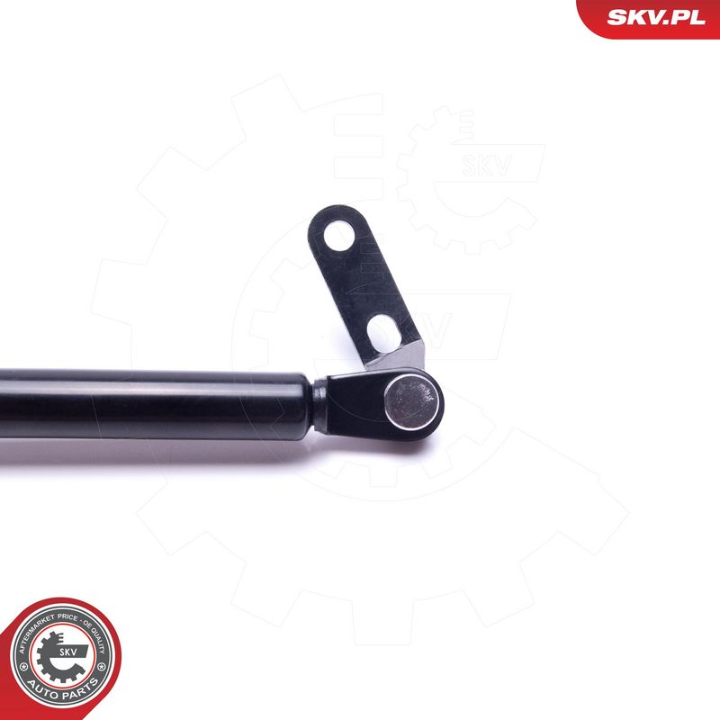 Gaasivedru, pagasi-, veoruum, ESEN SKV 52SKV677