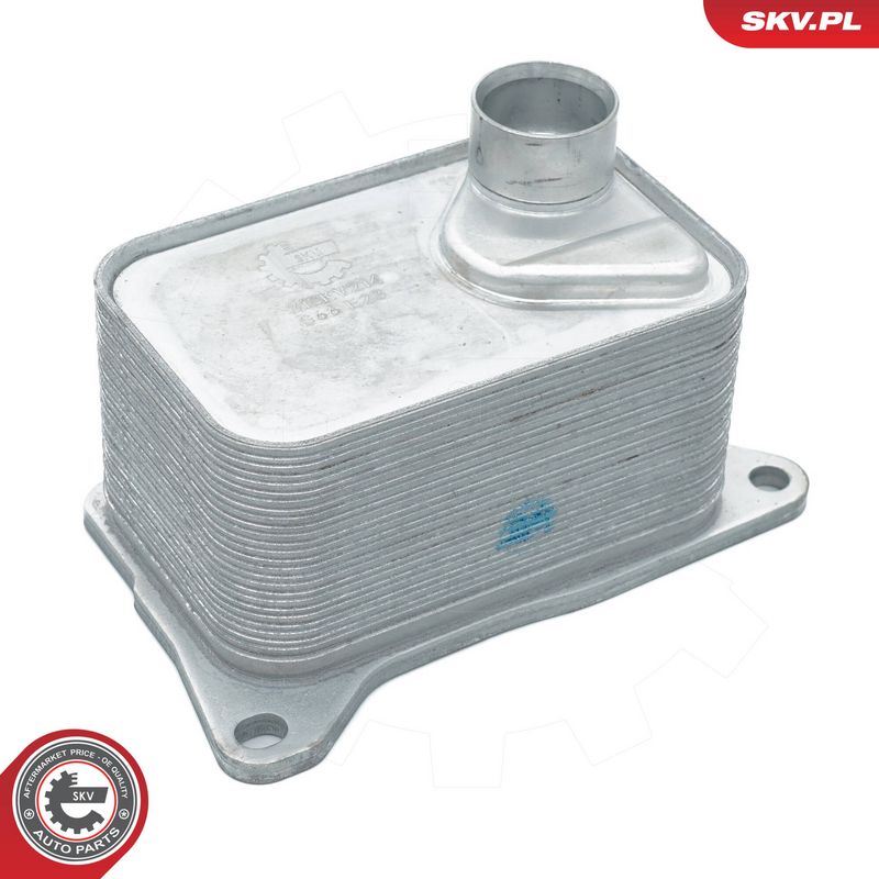 Prekės atitinka OEM kodą: 06L 117 021 E