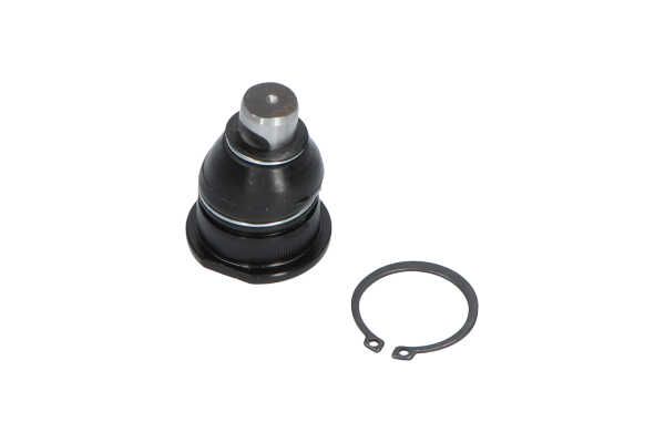 Kavo Parts SBJ-10011 Šarnyras