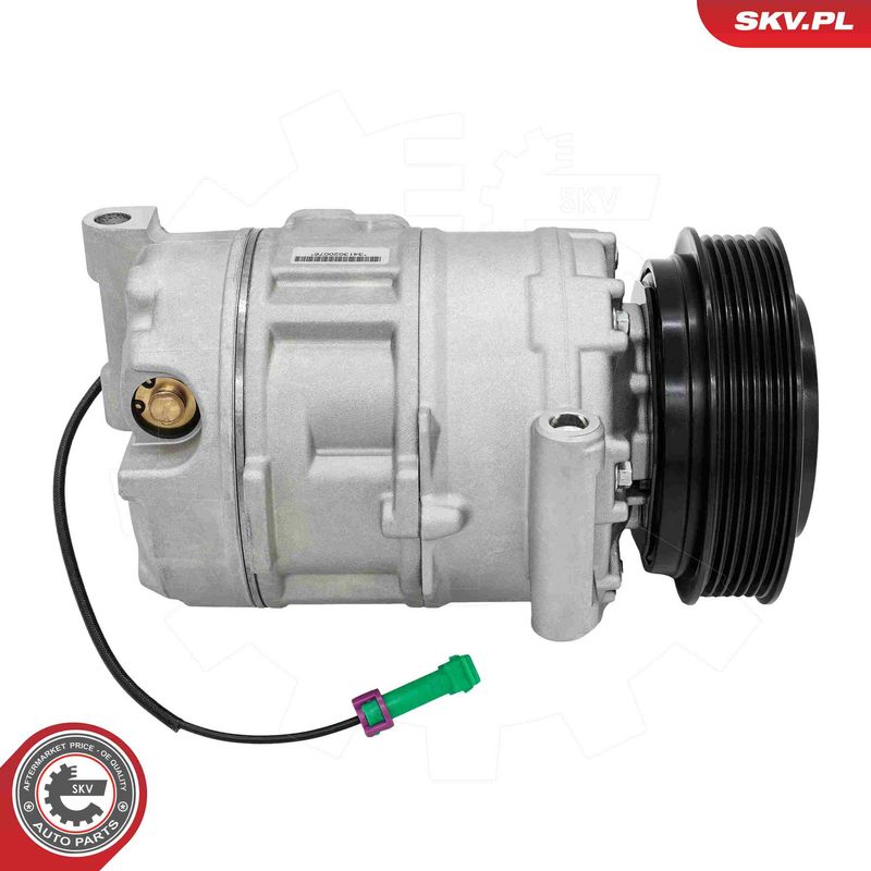 Kompressor, kliimaseade, ESEN SKV 84SKV169