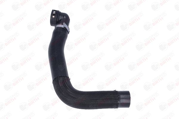 BIRTH 54539 Radiator Hose