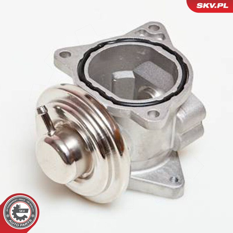 OEM код товара: RX001558AB