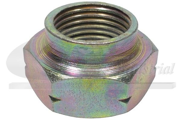3RG 83029 Nut, kingpin
