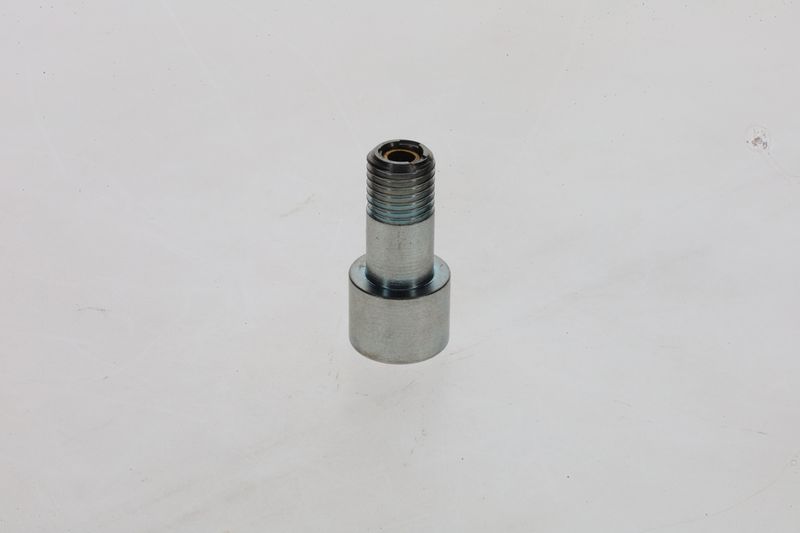 Surub 1 463 456 376 BOSCH