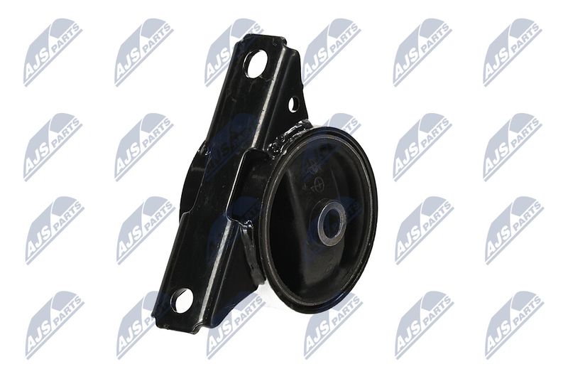 Paigutus, Mootor, NTY ZPS-MS-013