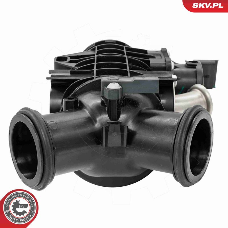 ESEN SKV 12SKV151 Throttle Body