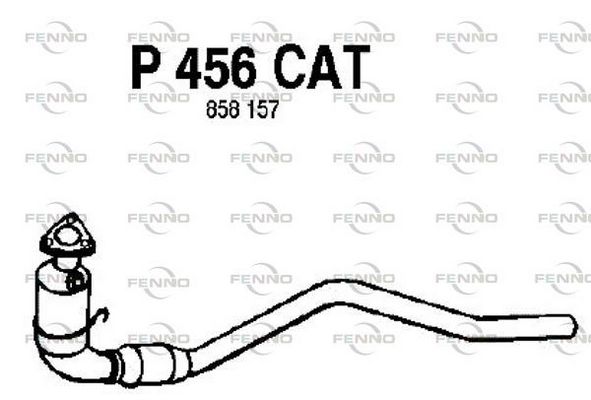 P456CAT.JPG