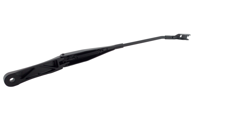 Kojamees, klaasipesu, OSSCA 26575