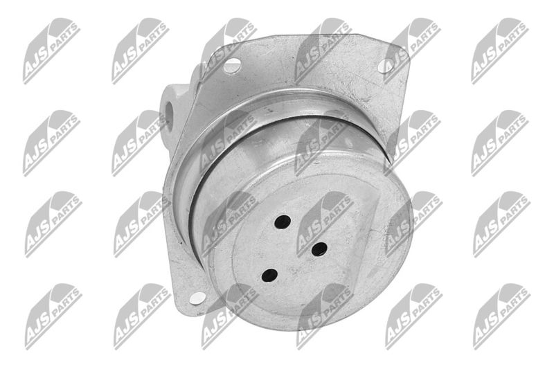 Paigutus, Mootor, NTY ZPS-PL-025