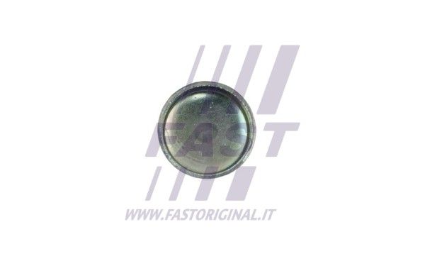 FT50816_3_1.JPG