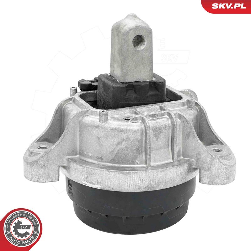 Paigutus, Mootor, ESEN SKV 75SKV249