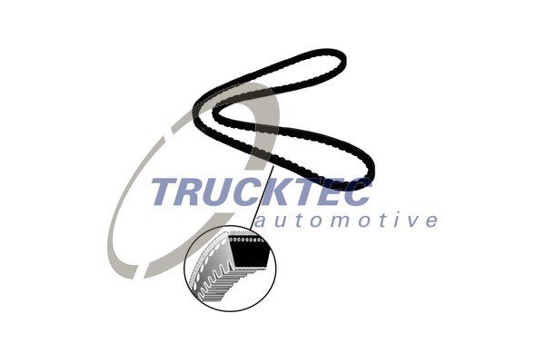 TRUCKTEC AUTOMOTIVE Ékszíj 08.19.100