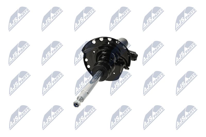 Amort, NTY A-LR-032