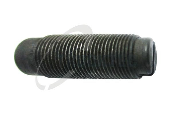 TRUCKTEC AUTOMOTIVE 01.12.034 - Adjusting Screw, valve clearance