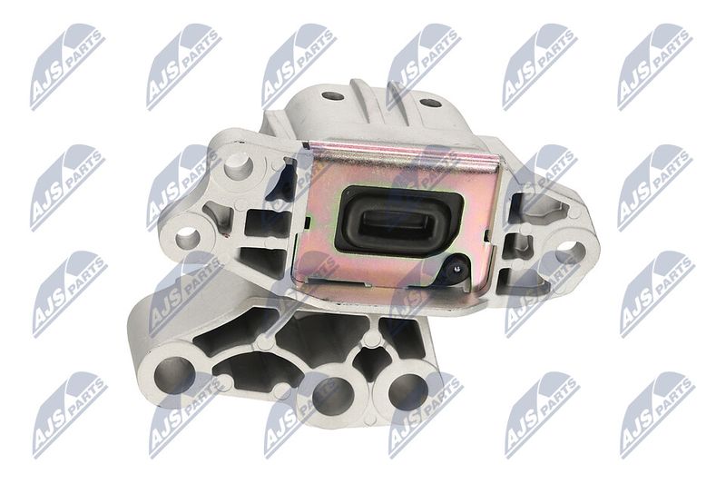 Paigutus, Mootor, NTY ZPS-CH-131