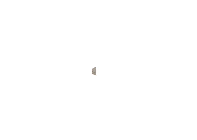 BOSCH 1 900 023 005 Spring