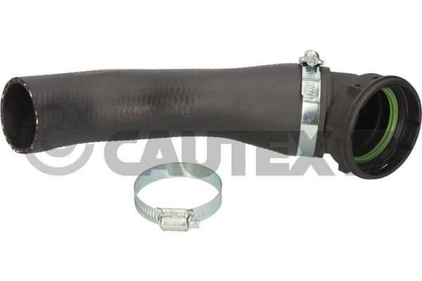 CAUTEX 754422 - Charge Air Hose