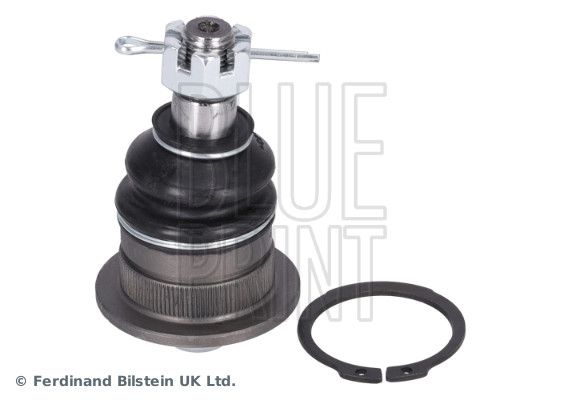 Kande-, juhtliigend, BLUE...