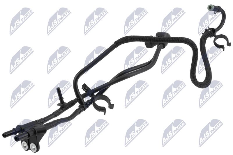 BPP-VC-002_1-WM.JPG