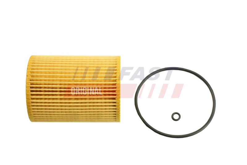 Õlifilter, FAST FT38101