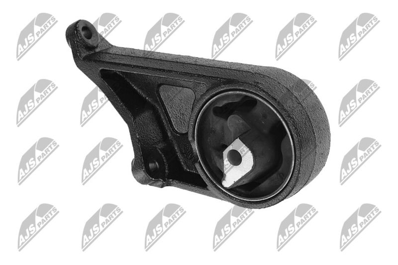 Paigutus, Mootor, NTY ZPS-CH-005