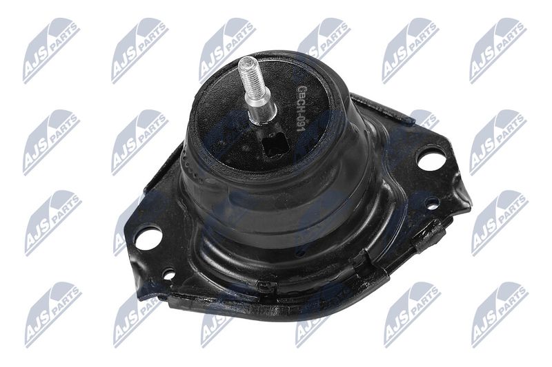 Paigutus, Mootor, NTY ZPS-CH-091