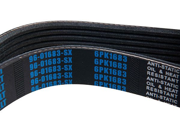 STELLOX 96-01683-SX V-ribbed Belt
