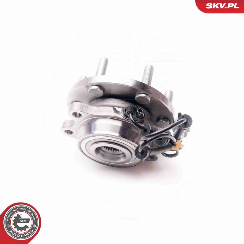 ESEN SKV 29SKV131 Wheel Bearing Kit