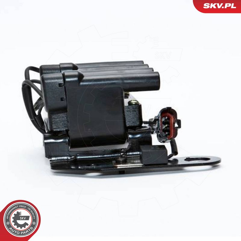 ESEN SKV 03SKV098 Ignition Coil