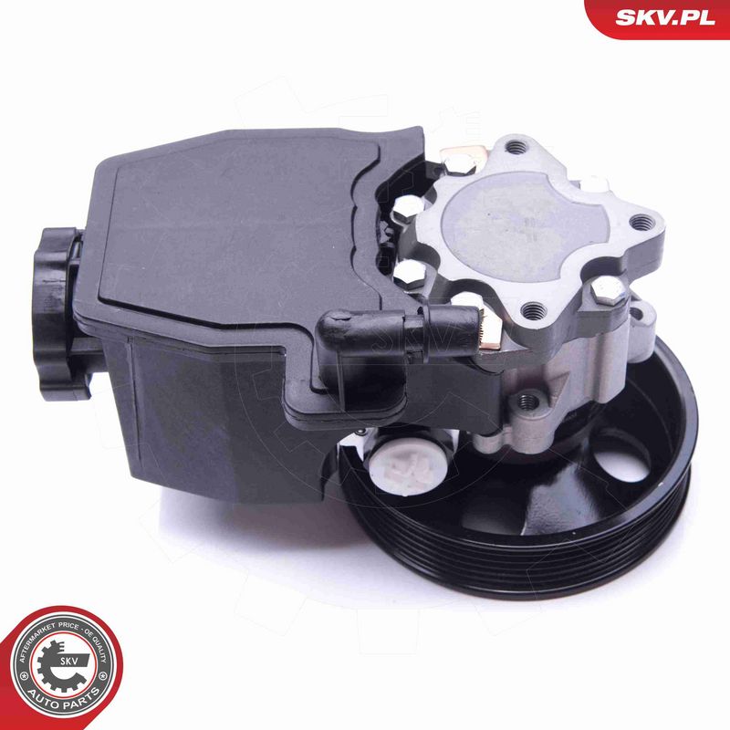 ESEN SKV 10SKV269 Hydraulic Pump, steering