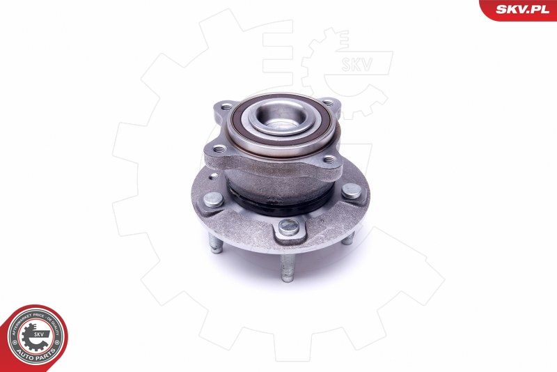 ESEN SKV 29SKV328 Wheel Bearing Kit