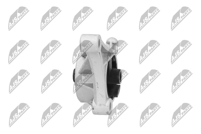 Paigutus, Mootor, NTY ZPS-PL-015