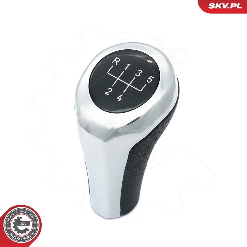 Käigukanginupp, ESEN SKV...