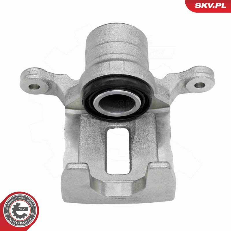 ESEN SKV 79SKV224 Brake Caliper