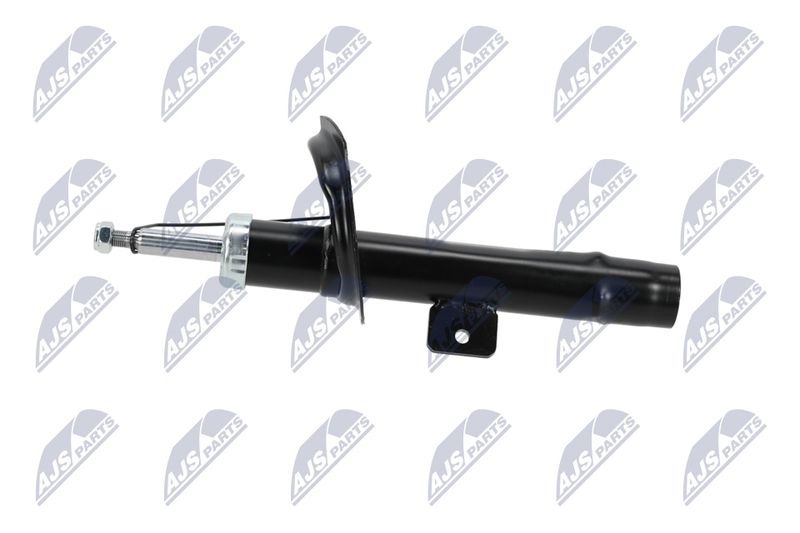 Amort, NTY A-CT-020