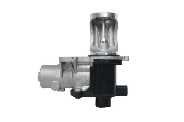 ASAM AUTOMOTIVE 74207 - ERG Valve