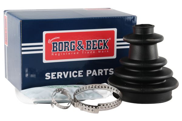 BCB1003_5864562.JPG