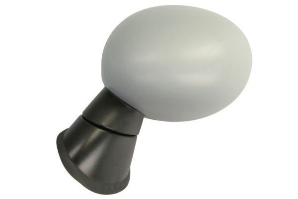 BLIC 5402-05-2184310P Exterior Mirror
