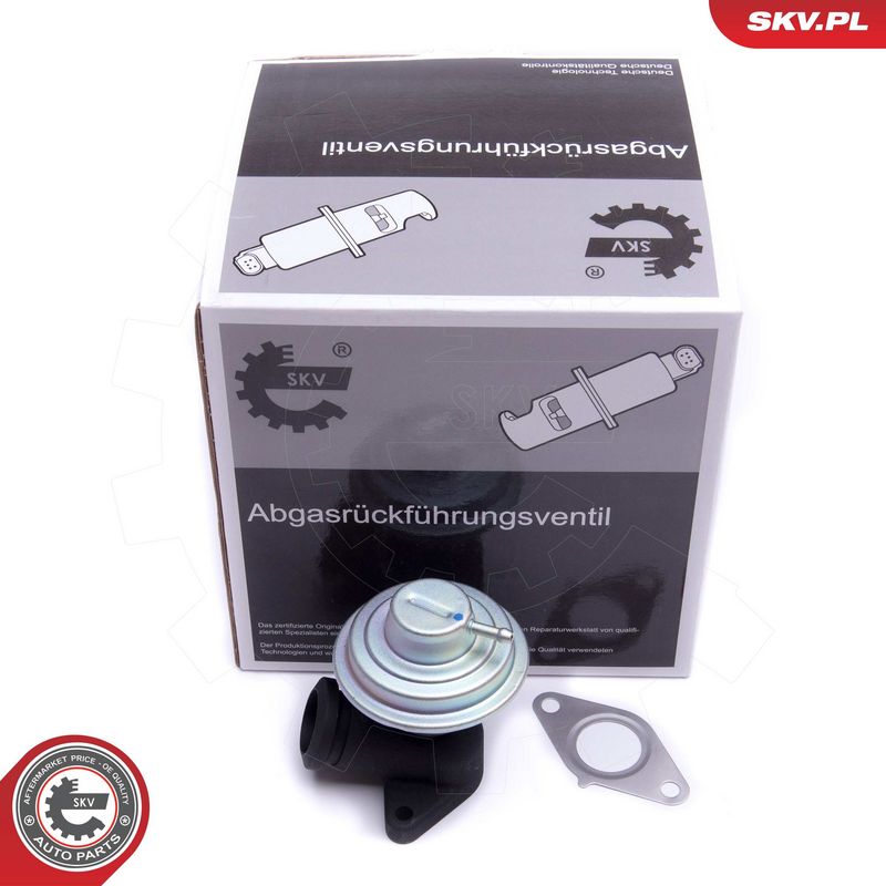 EGR-klapp, ESEN SKV 14SKV205
