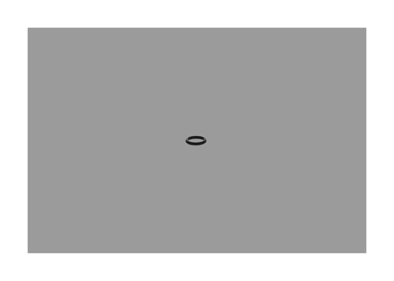 BOSCH F002A51088 Rubber Ring