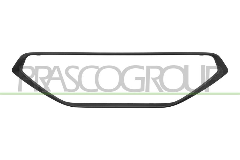 Rama, grila radiator PRASCO CP3002305