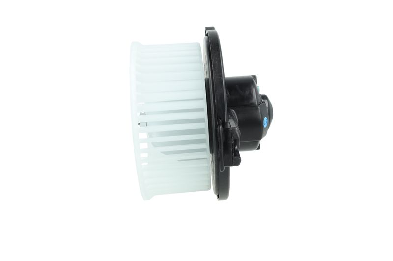 Salongipuhur, NRF 34291