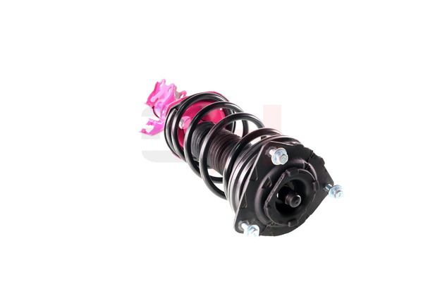 Vedruamort, GH GH-352298C01