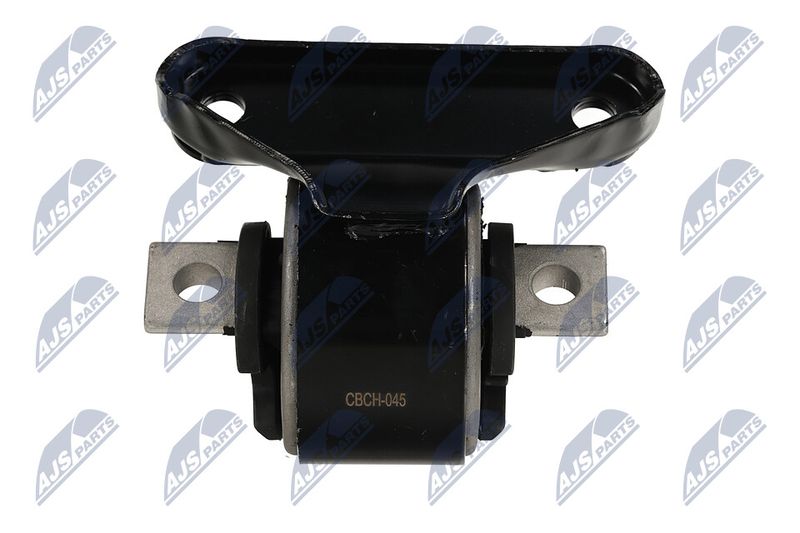 Paigutus, Mootor, NTY ZPS-CH-045