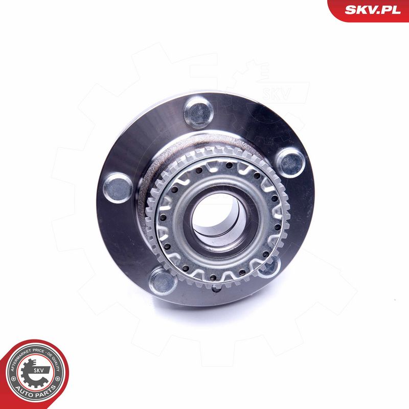 Rattalaagrikomplekt, ESEN SKV 29SKV199